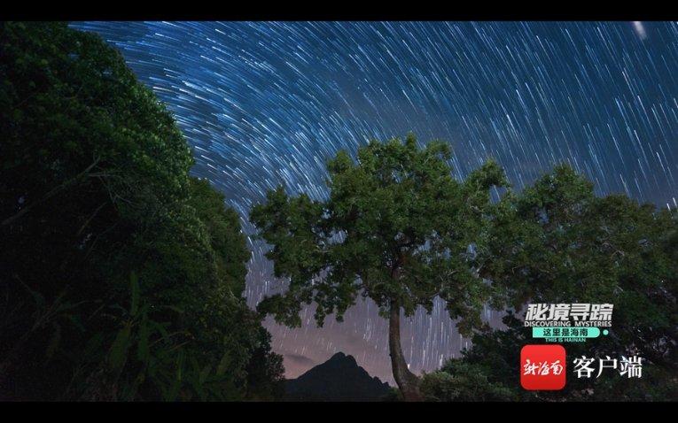 内蒙古民丰种业与卡乐比 合作发布仪式圆满举行